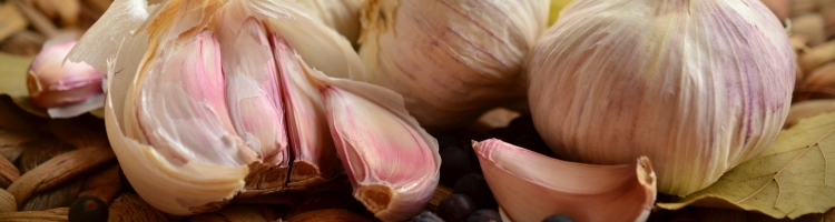 ipertensione integratori aglio
