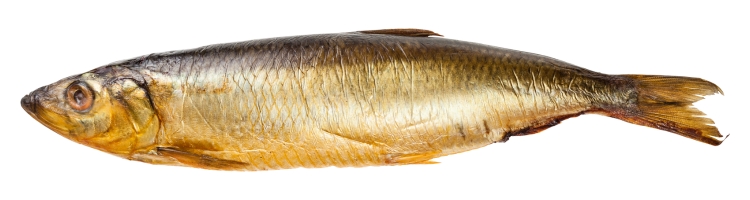 colesterolo rimedi naturali omega-3