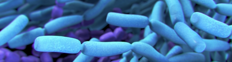 colesterolo rimedi naturali probiotici