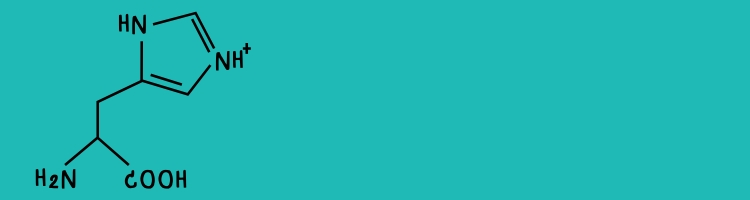 integratori pelle l-istidina