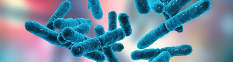 integratori pelle probiotici