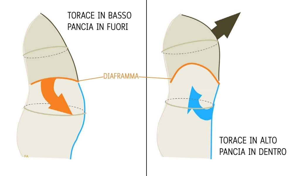 dissinergia addomino-frenica biofeedback