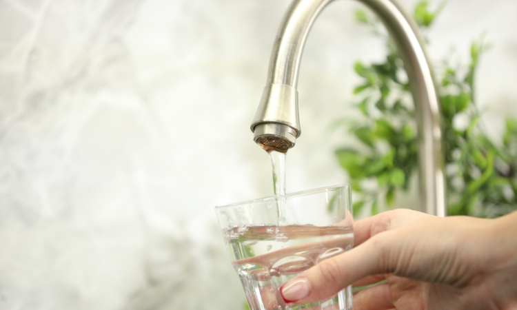 acqua del rubinetto o in bottiglia