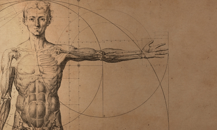 medicina di genere