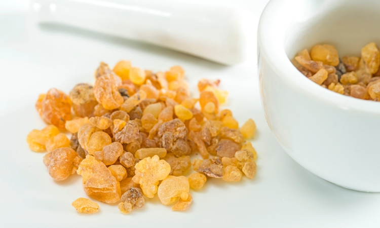 boswellia proprietà