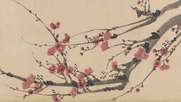 primavera-medicina-tradizionale-cinese